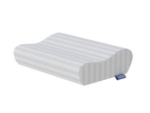 Подушка Terra Ergo 40х60х9-11 см